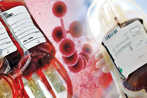 Blood Department